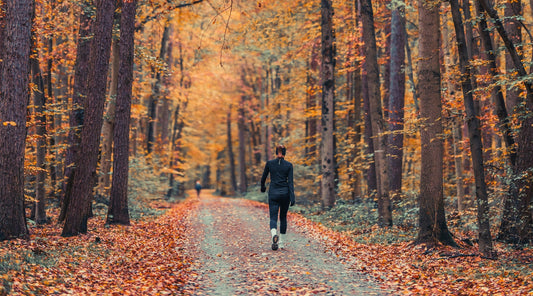 Frau geht im Herbst im Wald spazieren