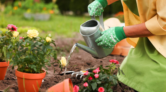Person gießt Blumen im Garten mit Gießkanne