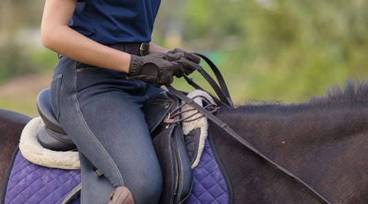 Reiterin hält Zügel beim Reiten auf Pferd