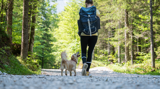 Frau wandert mit Hund auf Waldweg