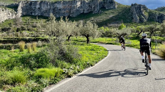 Rennradfahrer auf kurviger Straße in Natur